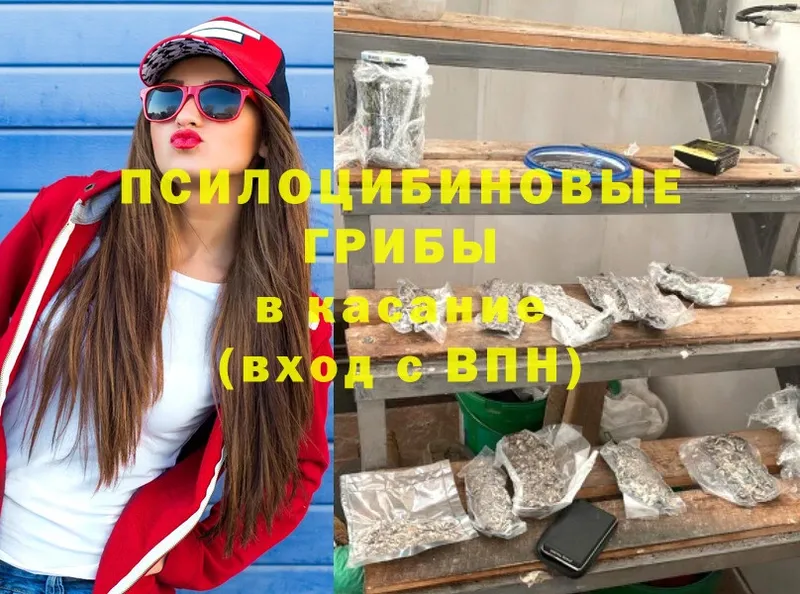 где продают   Изобильный  Псилоцибиновые грибы Psilocybine cubensis 